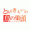 とあるきもやしの鳥の巣頭（もっさもさ）