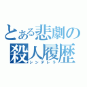 とある悲劇の殺人履歴（シンデレラ）