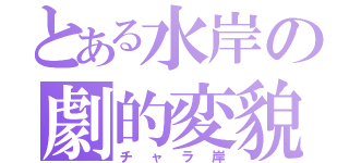 とある水岸の劇的変貌（チャラ岸）