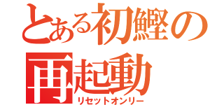 とある初鰹の再起動（リセットオンリー）