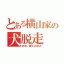 とある横山家の犬脱走（おお、愛しの犬よ）