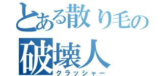 とある散り毛の破壊人（クラッシャー）