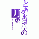 とある永遠亭の月兎（鈴仙・優曇華院・イナバ）