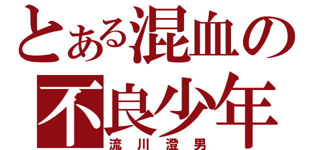 とある混血の不良少年（流川澄男）