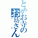 とあるお寺のお坊さん（ハゲ）