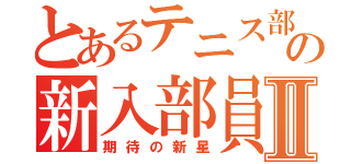 とあるテニス部の新入部員Ⅱ（期待の新星）