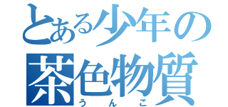 とある少年の茶色物質（うんこ）