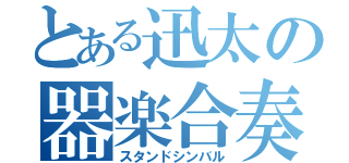 とある迅太の器楽合奏（スタンドシンバル）