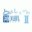 とあるしょうのの神美肌Ⅱ（プリクラ）