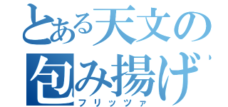 とある天文の包み揚げピザ（フリッツァ）