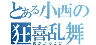 とある小西の狂喜乱舞（ぬかよろこび）