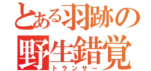 とある羽跡の野生錯覚（トランサー）