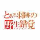 とある羽跡の野生錯覚（トランサー）