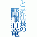 とある社長の青眼白竜（ブルーアイズ）