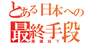 とある日本への最終手段（原爆投下）