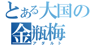 とある大国の金瓶梅（アダルト）