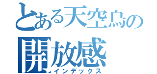 とある天空鳥の開放感（インデックス）