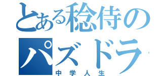 とある稔侍のパズドラ（中学人生）