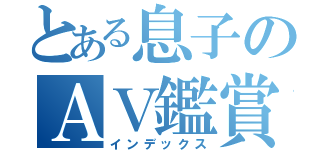 とある息子のＡＶ鑑賞（インデックス）