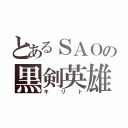 とあるＳＡＯの黒剣英雄（キリト）