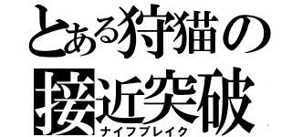 とある狩猫の接近突破（ナイフブレイク）