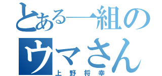 とある一組のウマさん（上野将幸）