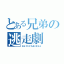 とある兄弟の逃走劇（池をそれぞれ逆に走るな）