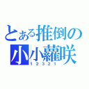 とある推倒の小小蘿咲（１２３２１）