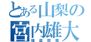 とある山梨の宮内雄大（強盗致傷）