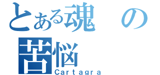 とある魂の苦悩（Ｃａｒｔａｇｒａ）