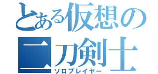 とある仮想の二刀剣士（ソロプレイヤー）