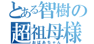 とある智樹の超祖母様（おばあちゃん）