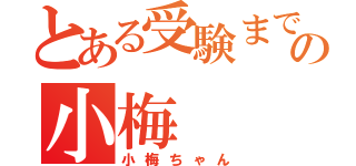 とある受験まで２年の小梅（小梅ちゃん）