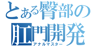 とある臀部の肛門開発（アナルマスター）