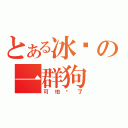 とある冰吧の一群狗（可怕极了）