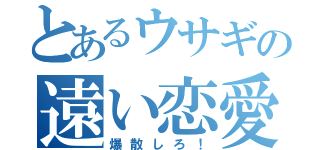 とあるウサギの遠い恋愛（爆散しろ！）