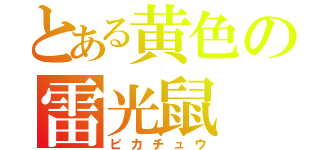 とある黄色の雷光鼠（ピカチュウ）