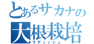 とあるサカナの大根栽培（ラディッシュ）