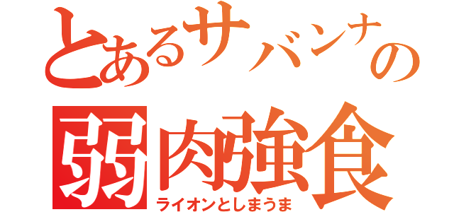 とあるサバンナの弱肉強食（ライオンとしまうま）