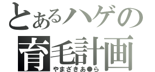 とあるハゲの育毛計画（やまざきあ●ら）