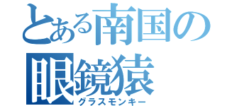 とある南国の眼鏡猿（グラスモンキー）