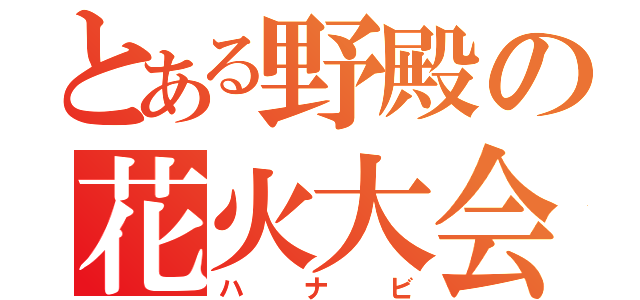 とある野殿の花火大会（ハナビ）