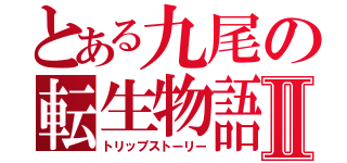 とある九尾の転生物語Ⅱ（トリップストーリー）