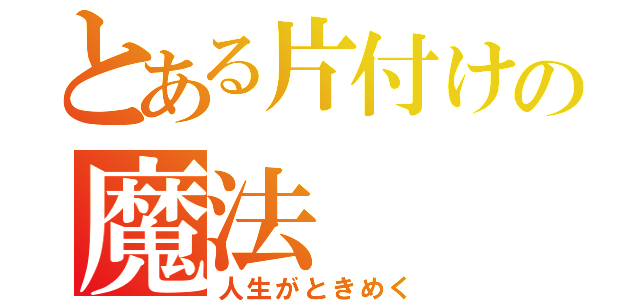 とある片付けの魔法（人生がときめく）