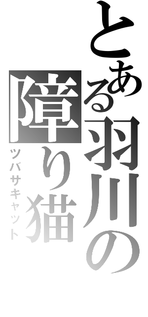 とある羽川の障り猫（ツバサキャット）