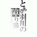 とある羽川の障り猫（ツバサキャット）