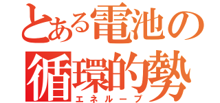 とある電池の循環的勢力（エネループ）