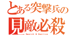 とある突撃兵の見敵必殺（Ｓｅａｒｃｈ ＆ Ｄｅｓｔｒｏｙ）