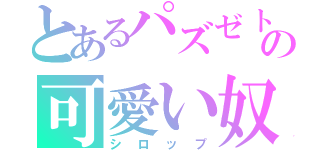 とあるパズゼトの可愛い奴（シロップ）