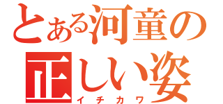 とある河童の正しい姿（イチカワ）